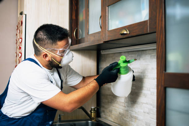 Best Pest Removal Services  in Union Park, FL