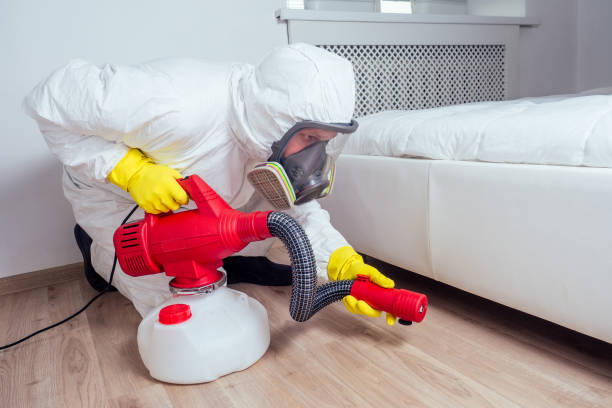 Best Bed Bug Extermination  in Union Park, FL