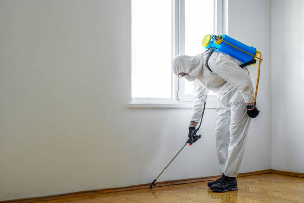 Best Local Pest Control Services  in Union Park, FL