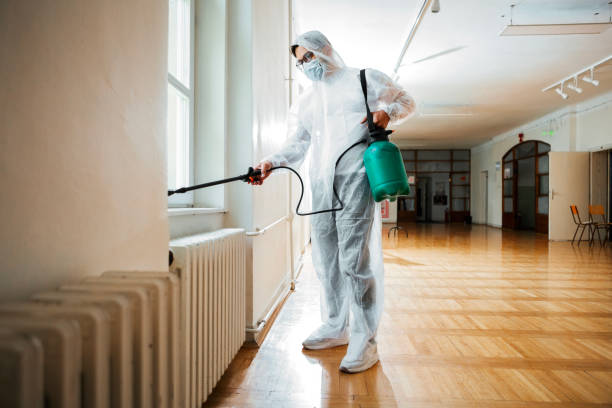 Best Affordable Pest Control Services  in Union Park, FL