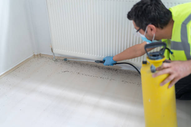 Best Affordable Pest Control Services  in Union Park, FL